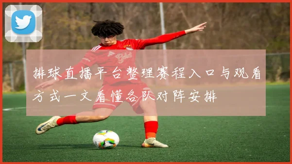 排球直播平台整理赛程入口与观看方式一文看懂各队对阵安排