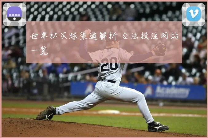 世界杯买球渠道解析 合法投注网站一览