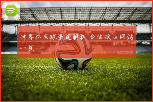 世界杯买球渠道解析 合法投注网站一览