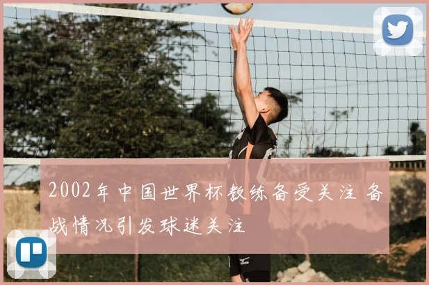 2002年中国世界杯教练备受关注 备战情况引发球迷关注