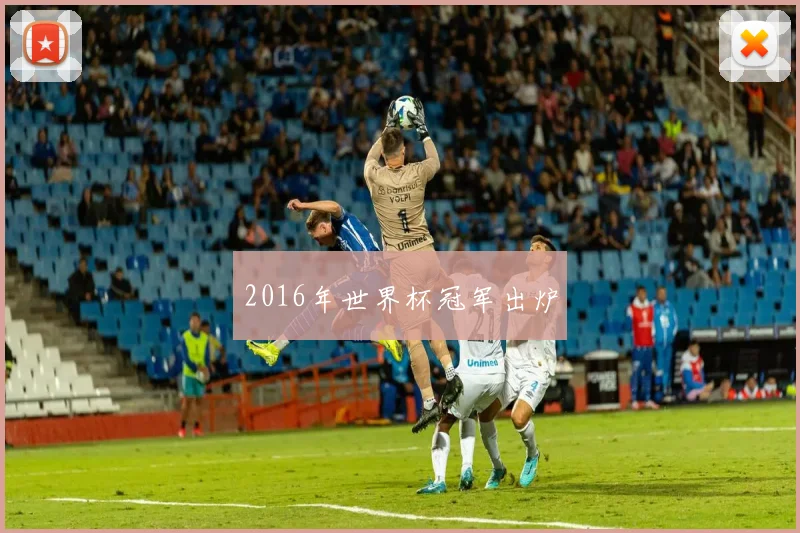 2016年世界杯冠军出炉
