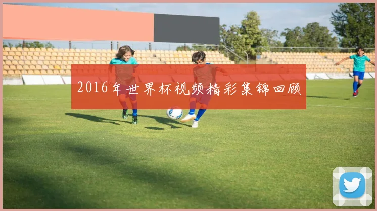 2016年世界杯视频精彩集锦回顾